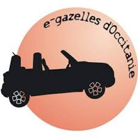 E-gazelles occitanie